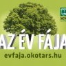 Év Fája